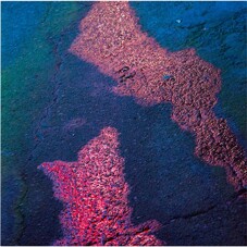 신해경 - 나의 가역반응 [Naturel Transparent LP]
