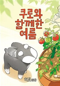쿠로와 함께한 여름