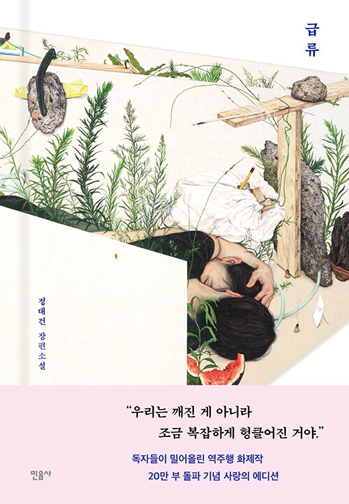 급류 (특별판)