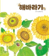 해바라기