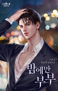 [세트] 밤에만 부부 (외전 포함) (총3권/완결)