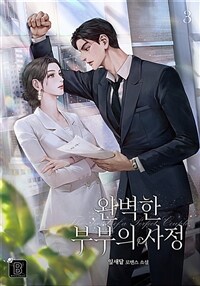 완벽한 부부의 사정 3 (완결)