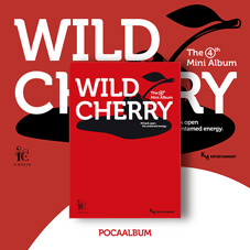 아이칠린 - 미니 4집 WILD CHERRY [POCA ALBUM]