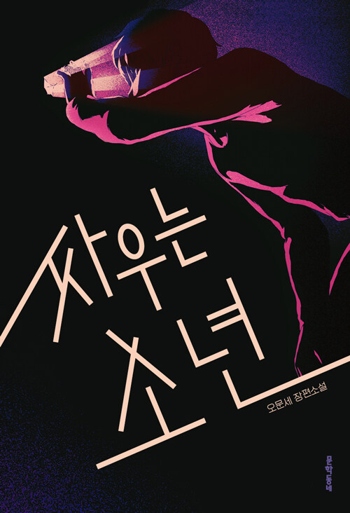 싸우는 소년