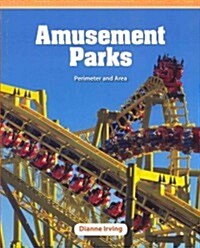 Amusement Parks (Paperback)