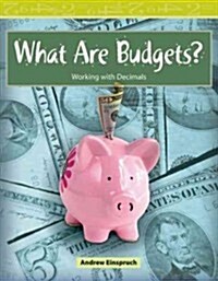 What Are Budgets? (Paperback)