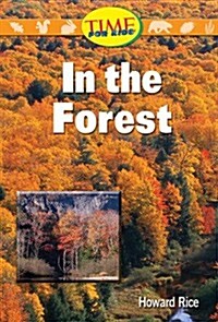 [중고] In the Forest (Paperback, Illustrated)