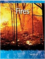 Fires (Paperback)