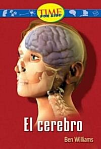 El cerebro / The Brain (Paperback, Illustrated)