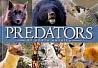 Predators of North America (Hardcover)