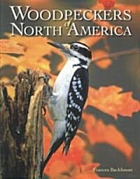 Woodpeckers of North America (Paperback)