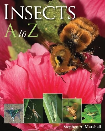 Insects A to Z (Paperback)