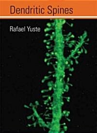 Dendritic Spines (Hardcover)