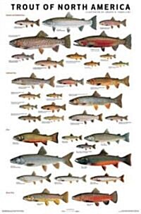 Trout of North America Poster (Other)