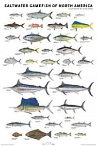 Saltwater Gamefish of North America Poster (Other)