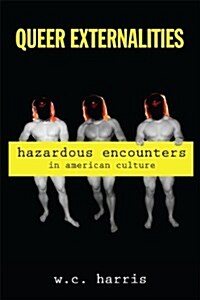 Queer Externalities: Hazardous Encounters in American Culture (Paperback)