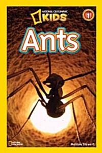 National Geographic Readers: Ants (Library Binding)