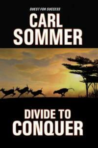 Divide to Conquer (Paperback)