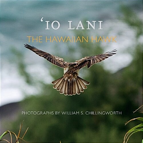 Io Lani: The Hawaiian Hawk (Paperback)