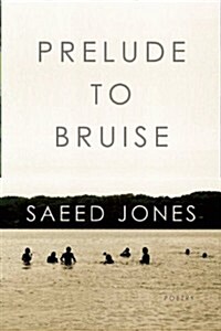 Prelude to Bruise (Paperback)