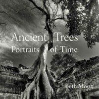 Ancient trees : portraits of time