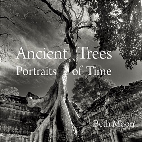 Ancient Trees: Portraits of Time (Hardcover)