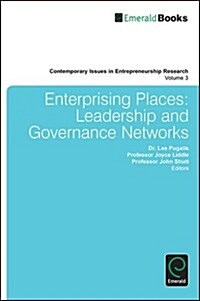 Enterprising Places : Leadership and Governance Networks (Hardcover)