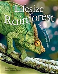 Lifesize: Rainforest: See Rainforest Creatures at Their Actual Size (Hardcover)