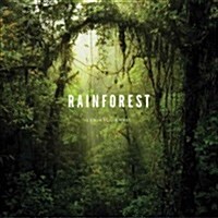 Rainforest (Hardcover)