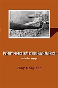 Twenty Poems That Could Save America and Other Essays (Paperback)