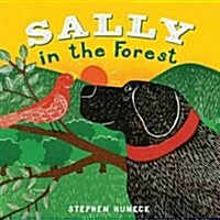 Sally in the Forest (Board Books)