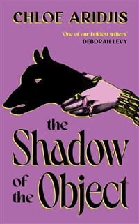 The Shadow of the Object (Hardcover)