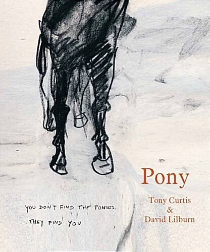 Pony (Paperback)