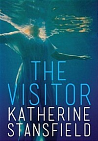 Visitor (Paperback)