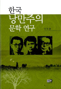 한국 낭만주의 문학연구