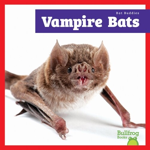 Vampire Bats (Paperback)