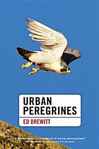 Urban Peregrines (Hardcover)