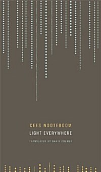 Light Everywhere (Hardcover)