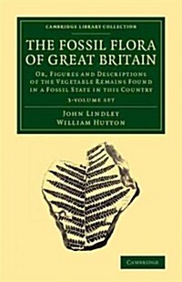 The Fossil Flora of Great Britain 3 Volume Set : Or, Figures and Descriptions of the Vegetable Remains Found in a Fossil State in This Country (Paperback)