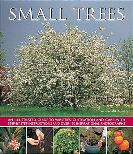Small Trees (Paperback)
