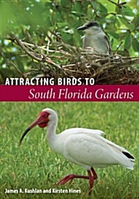 Attracting Birds to South Florida Gardens (Paperback)