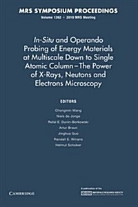 In-Situ and Operando Probing of Energy Materials at Multiscale Down to Single Atomic Column - The Power of X-Rays, Neutrons and Electron Microscopy: V (Paperback)