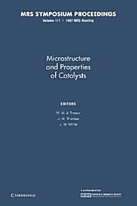Microstructure and Properties of Catalysts: Volume 111 (Paperback)