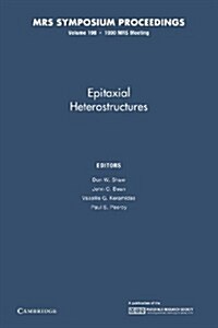 Epitaxial Heterostructures: Volume 198 (Paperback)