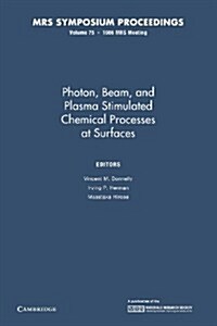 Photon, Beam, and Plasma Stimulated Chemical Processes at Surfaces: Volume 75 (Paperback)