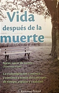 Vida Despues de La Muerte (Paperback)