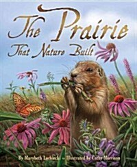The Prairie That Nature Built (Paperback, Pop-Up)