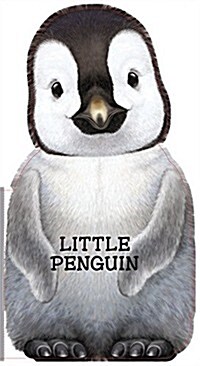 Little Penguin (Board Books)