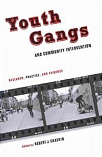 Youth Gangs and Community Intervention: Research, Practice, and Evidence (Paperback)