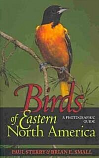 Birds of Eastern North America: A Photographic Guide a Photographic Guide (Paperback)